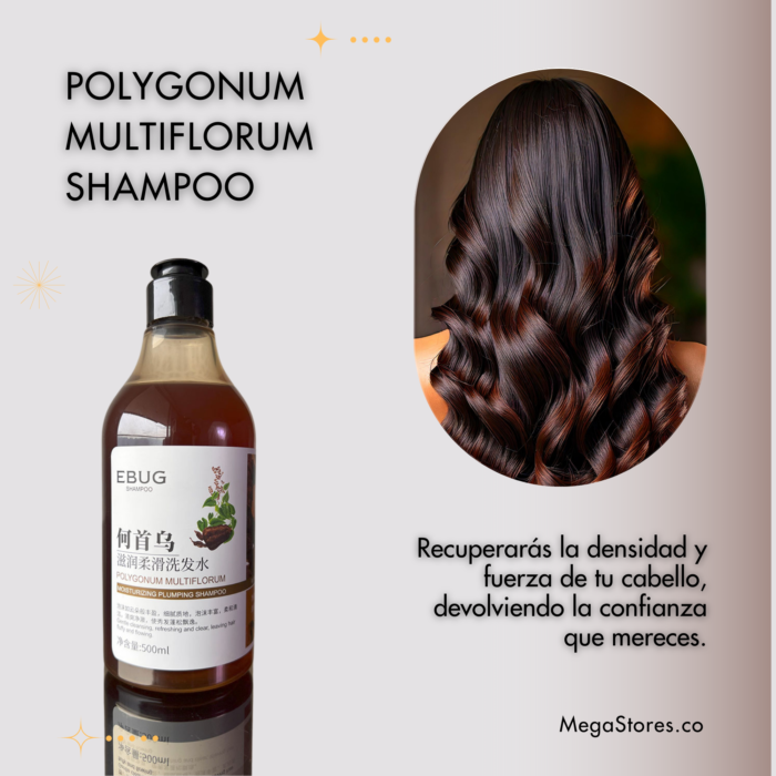 Champú de Polygonum  🎁 ¡APROVECHA AHORA! 🎉 - Imagen 2