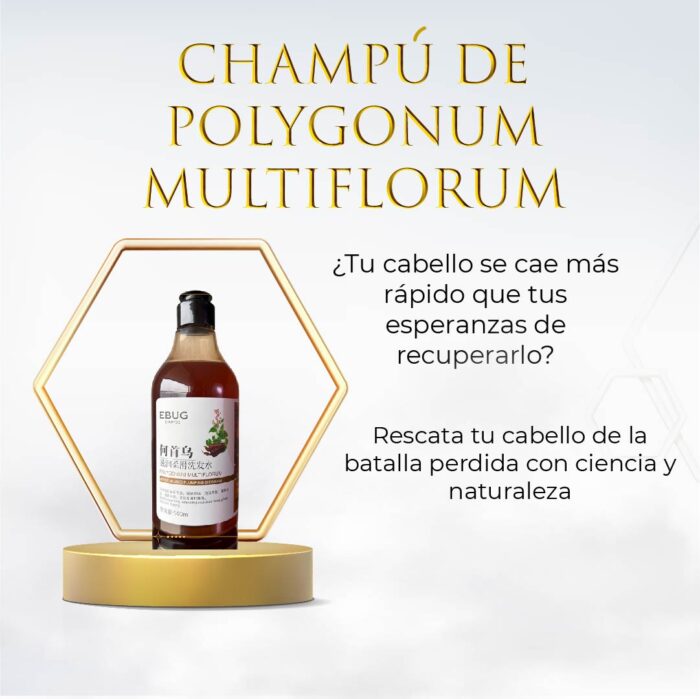 Champú de Polygonum  🎁 ¡APROVECHA AHORA! 🎉